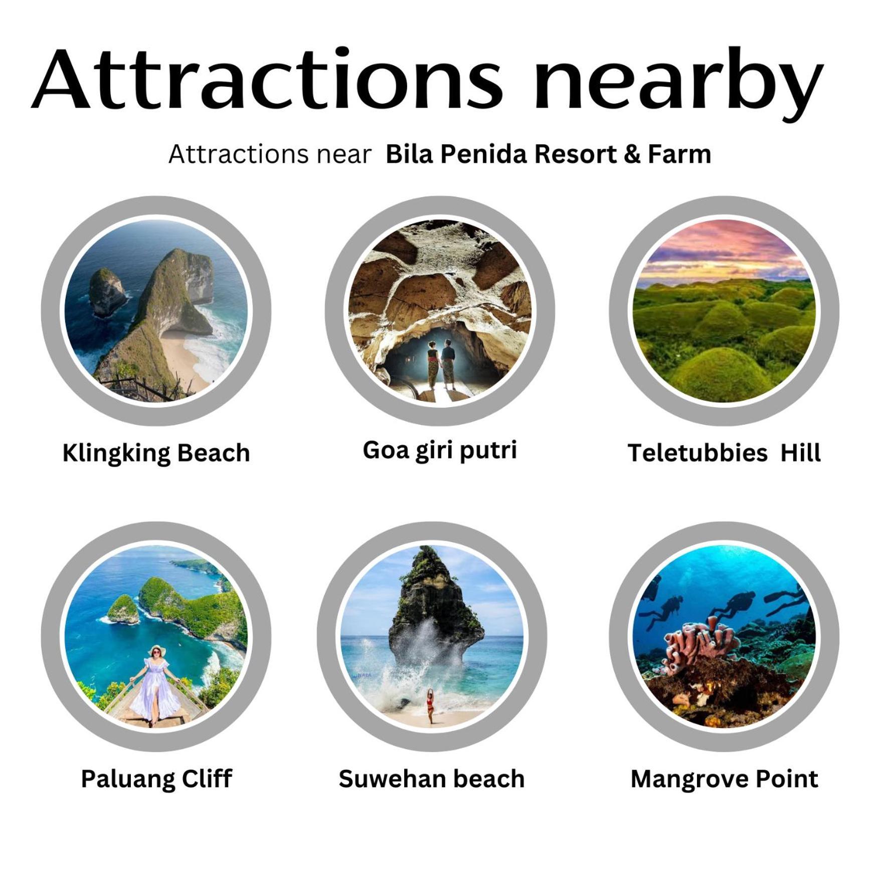 Bila Penida Resort & Farm Batununggul Exteriér fotografie